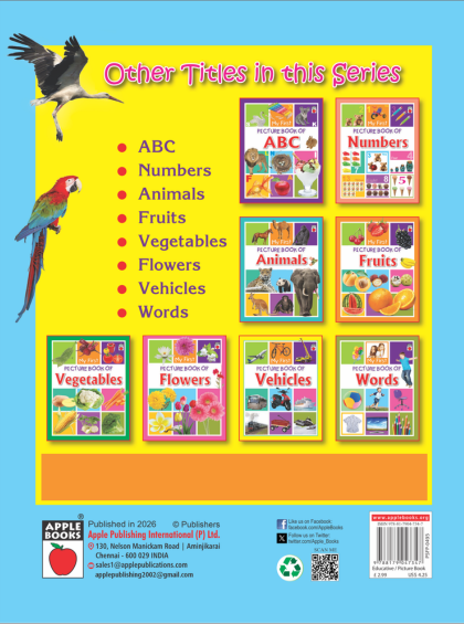 My First Picture Book Of Birds — inside pages