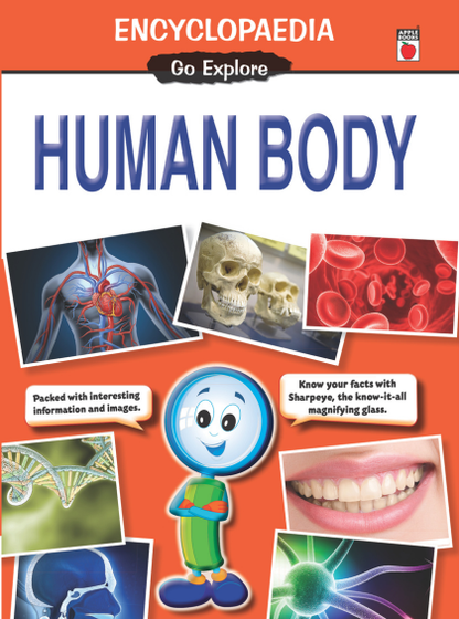 Encyclopedia Go Explore - Human Body — cover