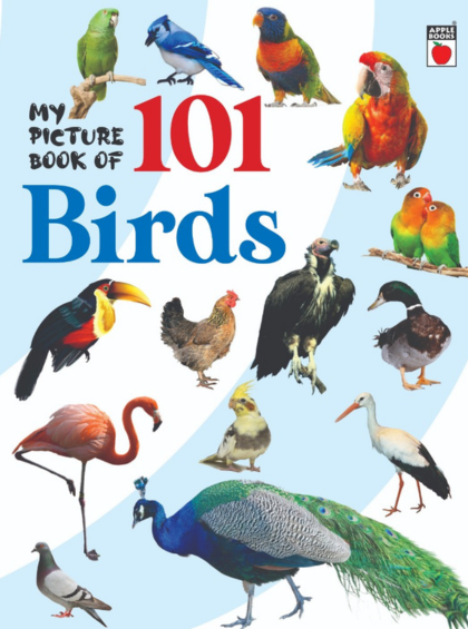 My Picture Book Of 101 Birds — cover