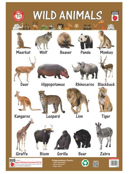 Wild Animals - Pp Chart — cover
